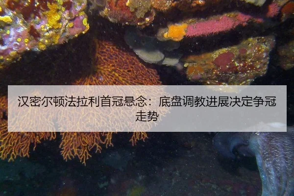 汉密尔顿法拉利首冠悬念：底盘调教进展决定争冠走势