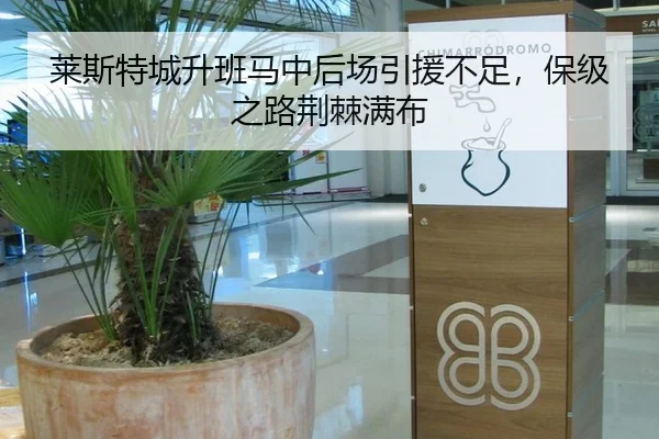 莱斯特城升班马中后场引援不足，保级之路荆棘满布