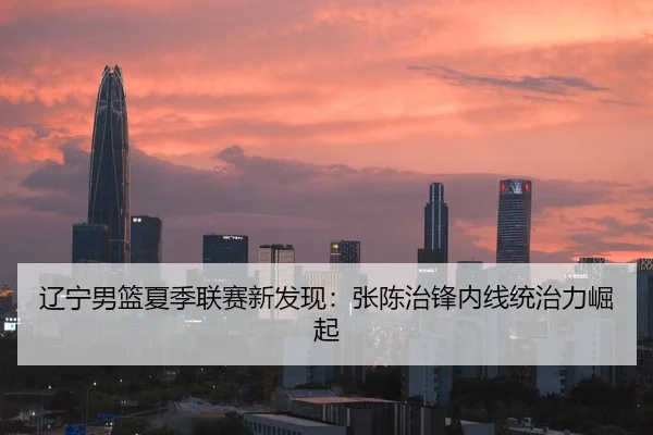 辽宁男篮夏季联赛新发现：张陈治锋内线统治力崛起