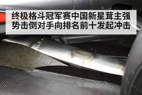 终极格斗冠军赛中国新星茸主强势击倒对手向排名前十发起冲击